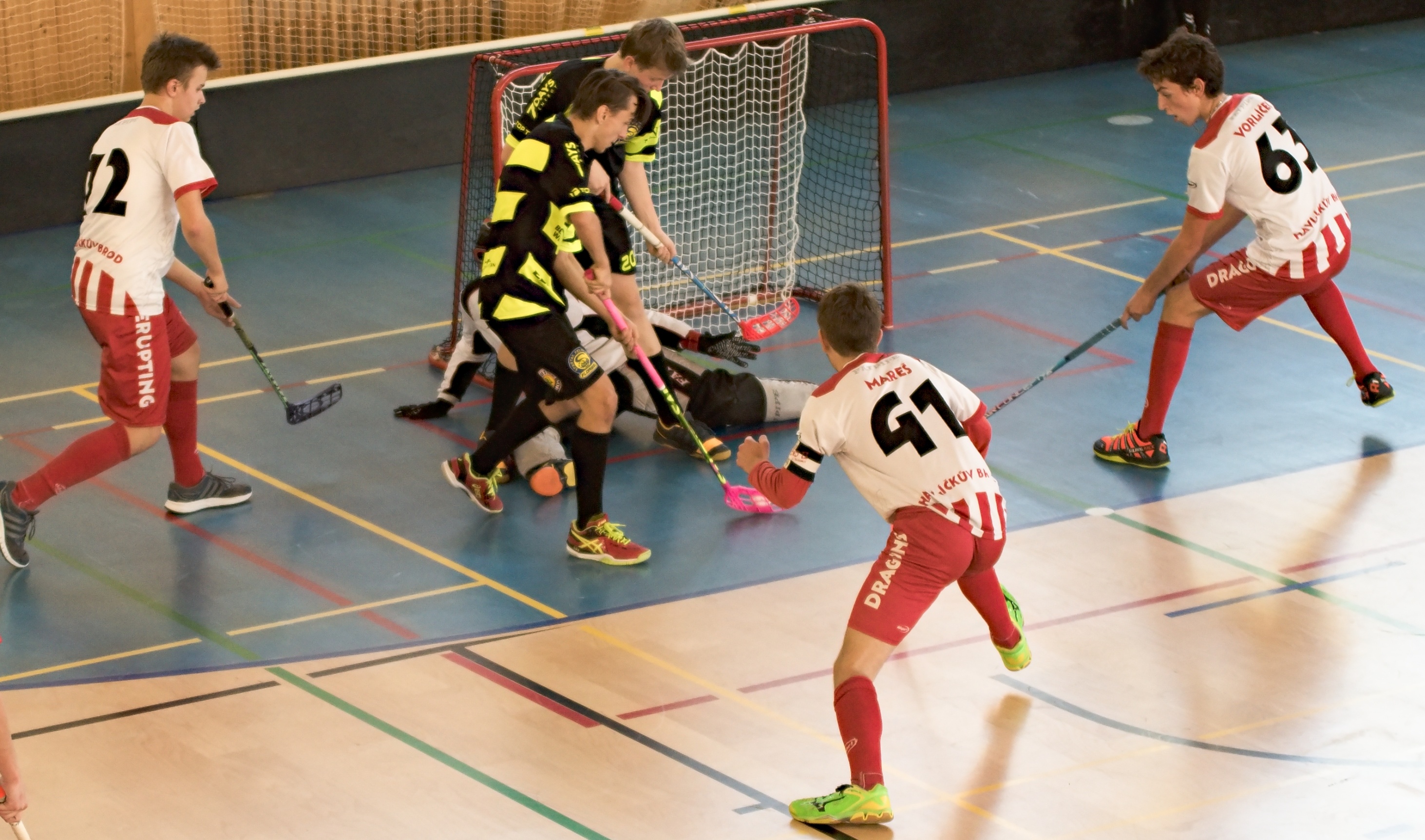 JunciLedec241015 046